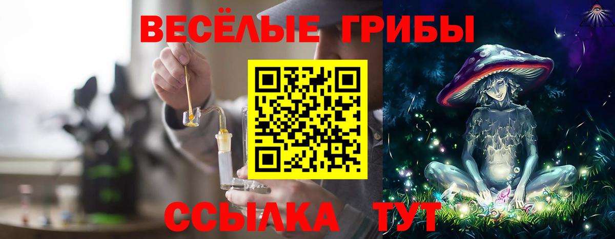 Галлюциногенные грибы Psilocybine cubensis  Вход с VPN  Галлюциногенные грибы Magic Shrooms  Северобайкальск 